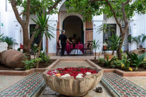 Riyad El Cadi